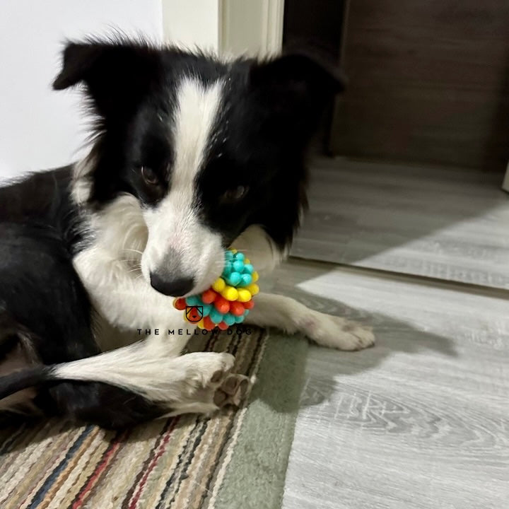 Anti Bad Breath Ball