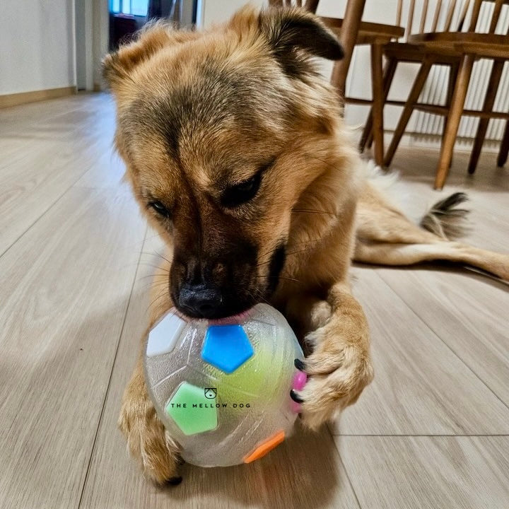 Calming Ball