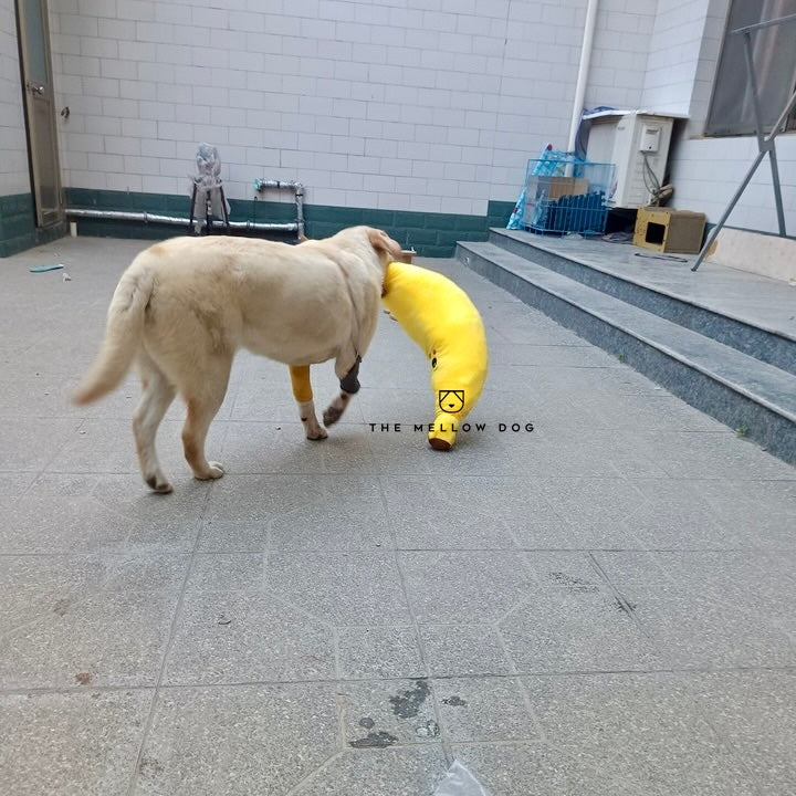Calming Banana