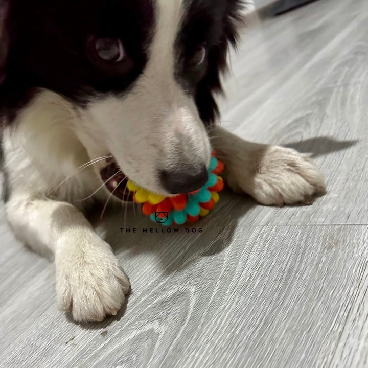 Anti Bad Breath Ball