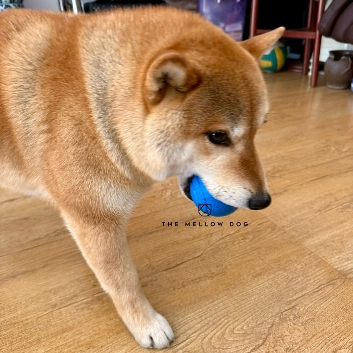 Blue Ball