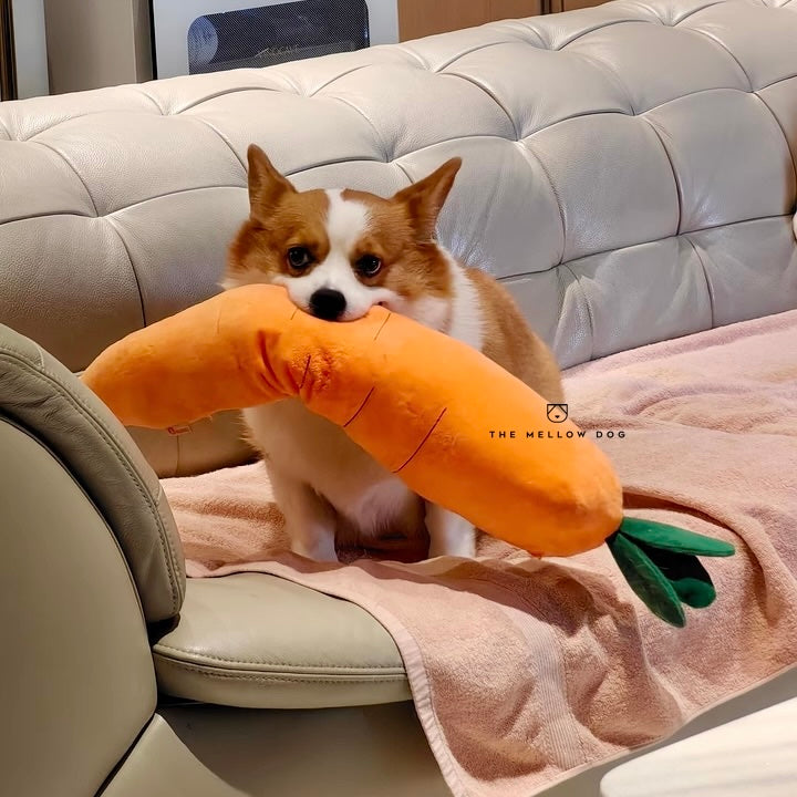Calming Carrot