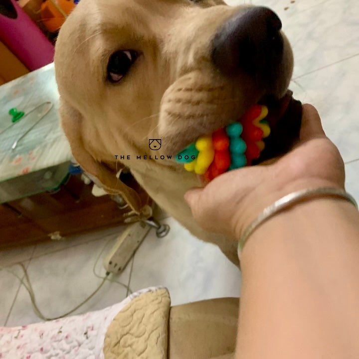 Anti Bad Breath Ball