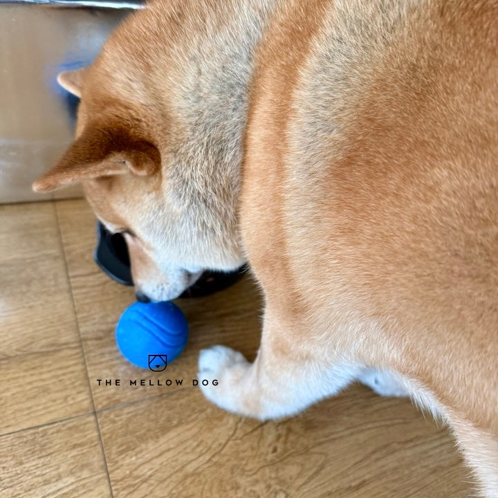 Blue Ball