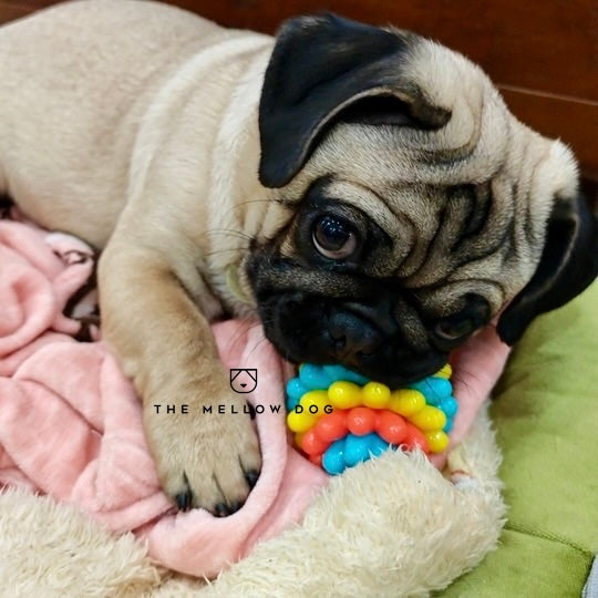 Anti Bad Breath Ball